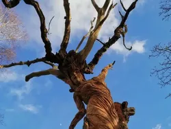 Deretan Karya Seni yang Bikin Kita Merenung