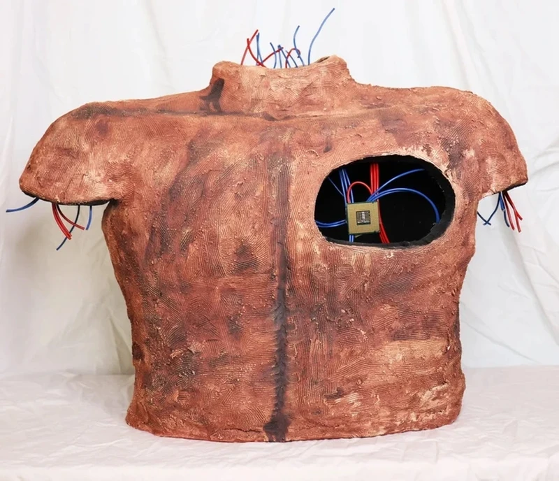 Karya seni isu lingkungan