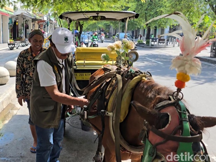 Pemeriksaan kesehatan kuda andong di Malioboro Jogja, Jumat (25/4/2025).