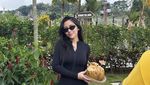 Rachel Vennya Ajak Keluarga Bikin Pasar Sayur dan Makanan Gratis