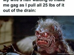 Meme Random yang Bikin Para Cewek Bilang Iya Lagi