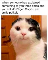 Rangkuman Meme Random yang Bikin Para Cewek Bilang Iya Lagi