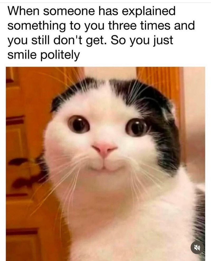 Rangkuman Meme Random yang Bikin Para Cewek Bilang 'Iya Lagi'