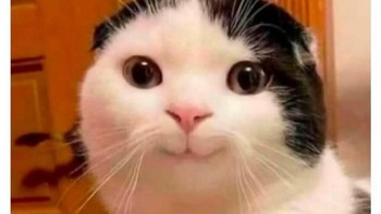 Yaudah senyum aja. Foto: girlposts.co via Bored Panda