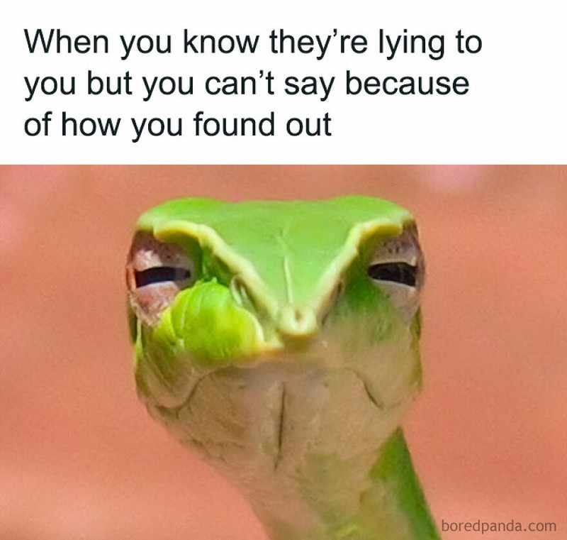 Rangkuman Meme Random yang Bikin Para Cewek Bilang 'Iya Lagi'