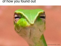 Meme Random yang Bikin Para Cewek Bilang Iya Lagi