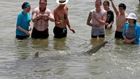 Sisa-sisa jasad telah ditemukan oleh tim pencari dan penyelamat setelah seorang perenang diserang oleh hiu di lepas pantai Israel utara. (BBC)
