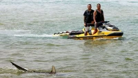 Insiden yang sangat langka itu terjadi di laut Hadera, sekitar 40 km sebelah utara Tel Aviv. Orang-orang di Pantai Olga terdengar berteriak kaget dalam rekaman yang diposting di media sosial. (BBC)