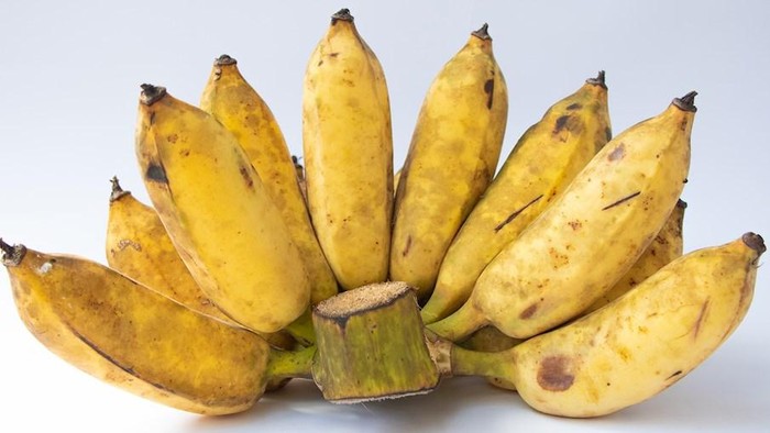 7 Jenis Pisang Terbaik di Dunia, Ada yang Populer di Indonesia!