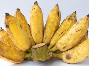 7 Pisang Terbaik Dunia, Ada dari Indonesia
