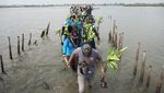 Cegah Abrasi, Pelajar dan Relawan Tanam 2.000 Bibit Mangrove di Batang