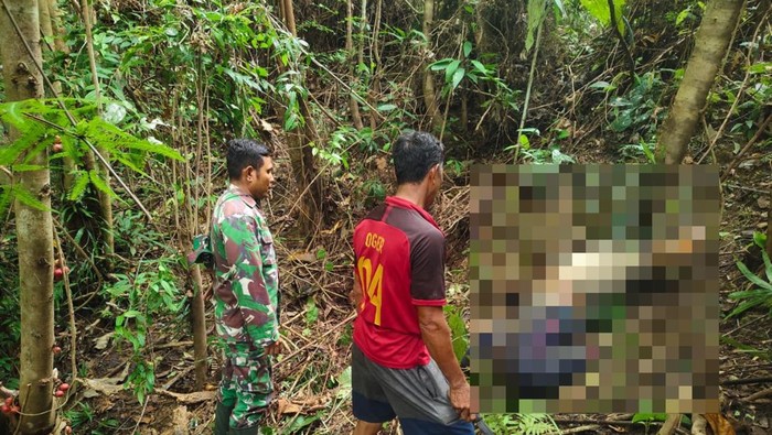 Guru SMP yang hilang misterius di Buton Utara ditemukan tewas di dalam hutan.