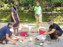 Lungsuran Galungan Dikasih Monyet di Monkey Forest Biar Tak Jadi Food Waste