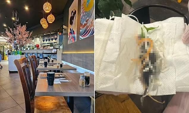 Jijik! Ibu Hamil Ini Temukan Bangkai Tikus Saat Makan Salad