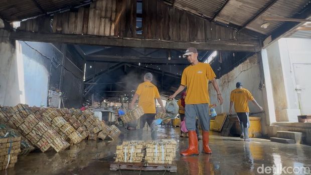 Pegawai menataa pindang hasil produksi, Rembang, Sabtu (26/4/2025).