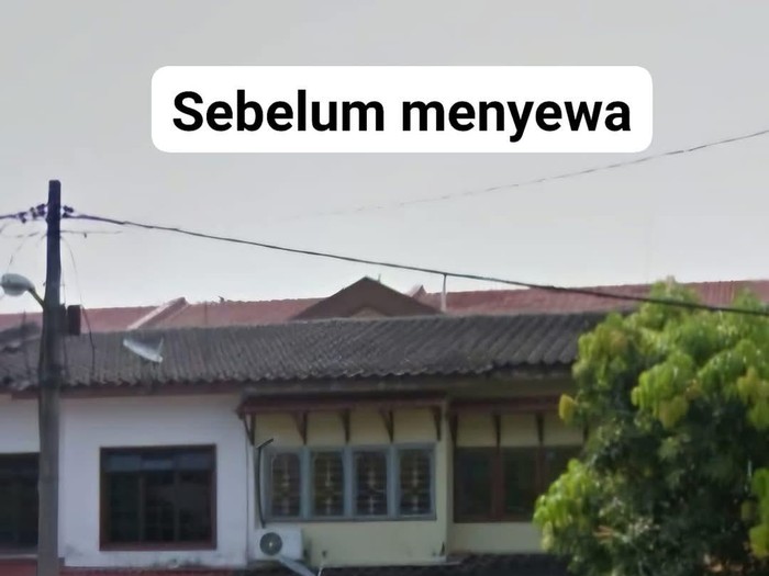 Pemilik rumah sewa ini terkejut saat melihat kondisi rumah miliknya yang kotor, penuh dengan tanaman dan pohon liar seperti hutan.