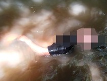 Geger Penemuan Mayat Pria Penuh Luka Sayat di Sungai Lombok Timur
