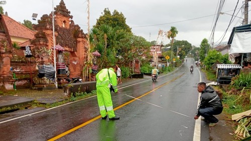 Polisi melakukan olah TKP terkait kecelakaan maut di Jalan Singaraja-Denpasar, wilayah Banjar Dinas Lumbanan, Sukasada, Buleleng, Bali, Sabtu (26/4/2025). (Foto: Dok. Polres Buleleng)