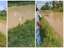 Santri yang Dibunuh Anak Kembar lalu Jasadnya Dibuang di Irigasi gegara Sandal