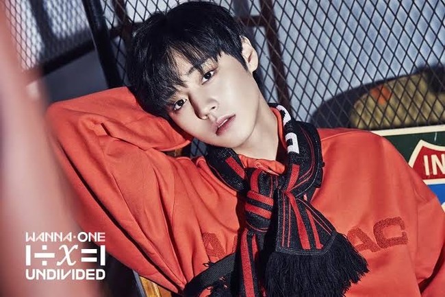 Park Ji Hoon sukses menyita hati publik dengan paras tampan dan imutnya. Selain dijuluki wink boy, dia juga mempopulerkan aegyo “nae maeum soge jeojang” yang berarti “menyimpanmu dalam hatiku”. Dia menempati peringkat kedua dan debut sebagai personel grup KPop Wanna One. Foto: Instagram