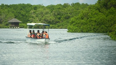 Menjelajahi WIsata Susur Hutan Mangrove di Bali