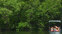 Wisata keliling kawasan mangrove Taman Hutan Raya (Tahura) Ngurah Rai yang dibuka sejak akhir tahun 2023 itu setiap bulannya rata-rata dikunjungi oleh 2.400 wisatawan .