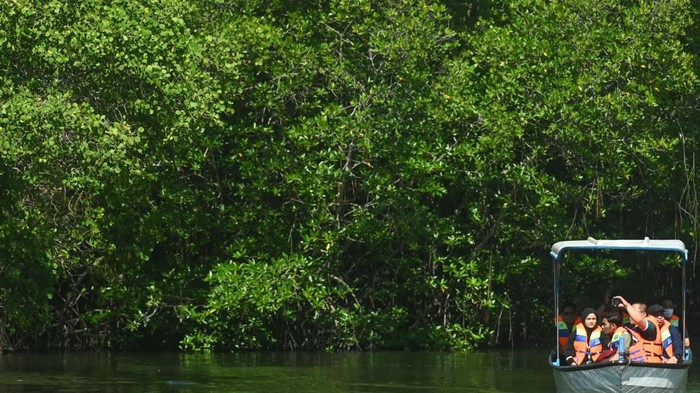 Wisatawan menaiki perahu menyusuri hutan mangrove di kawasan ekowisata mangrove Batu Lumbang, Denpasar, Bali, Sabtu (26/4/2025). Wisata keliling kawasan mangrove Taman Hutan Raya (Tahura) Ngurah Rai yang dibuka sejak akhir tahun 2023 itu setiap bulannya rata-rata dikunjungi oleh 2.400 wisatawan dan telah menjadi kegiatan usaha baru yang meningkatkan perekonomian masyarakat khususnya para nelayan setempat. ANTARA FOTO/Fikri Yusuf/rwa.