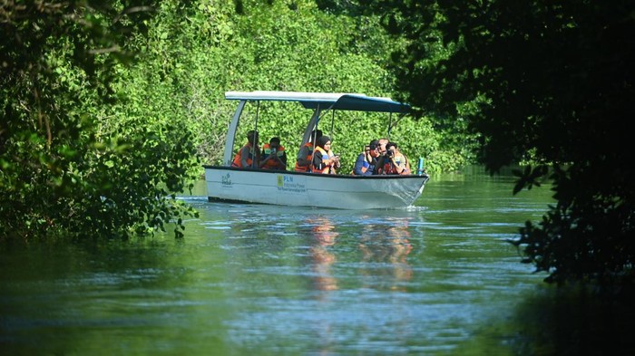 Wisatawan menaiki perahu menyusuri hutan mangrove di kawasan ekowisata mangrove Batu Lumbang, Denpasar, Bali, Sabtu (26/4/2025). Wisata keliling kawasan mangrove Taman Hutan Raya (Tahura) Ngurah Rai yang dibuka sejak akhir tahun 2023 itu setiap bulannya rata-rata dikunjungi oleh 2.400 wisatawan dan telah menjadi kegiatan usaha baru yang meningkatkan perekonomian masyarakat khususnya para nelayan setempat. ANTARA FOTO/Fikri Yusuf/rwa.