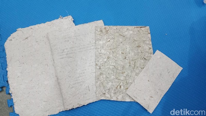 Eceng Gondok Disulap Jadi Kertas: Gerakan Hijau Komunitas Peduli Sungai Surabaya
