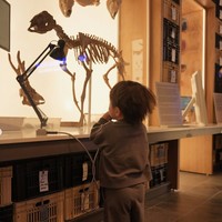 Selama di sana Nikita dan keluarga mengunjungi beragam tempat wisata, salah satunya museum. Terlihat anak pertamanya, Issa yang begitu serius melihat-lihat beragam pajangan yang dipamerkan di museum tersebut. Foto: Instagram/@nikitawillyofficial94