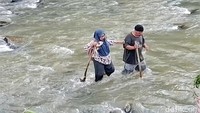 Seorang warga membantu memandu Bu Guru Leni menyeberangi arus sungai dengan menggunakan tongkat kayu sebagai alat bantu.