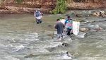 Melawan Arus, Perjuangan Guru dan Siswa Menyebrangi Sungai Cikaso