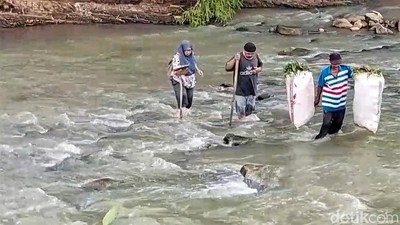 Melawan Arus, Perjuangan Guru dan Siswa Menyebrangi Sungai Cikaso