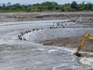 Ratusan Warga Berburu Ikan Mabuk Saat Flushing Bendungan di Blitar