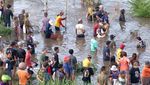 Sungai Brantas Meluap, Warga Berburu Ikan Mabuk