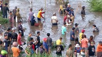 Kendati berbahaya dan sering memakan korban, tradisi pladu tetap digelar setahun sekali. Tradisi ini menjadi momen yang dinantikan warga setempat.