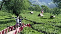Wisatawan antusias mengabadikan momen saat berkunjung ke Agrowisata Bukit Kuneer, Wonosari, Malang, Jawa Timur, Sabtu (26/4/2025). Lokasi wisata ini berada di tengah hamparan perkebunan teh yang asri dan sejuk.