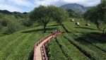 Wisata Bukit Kuneer di Malang Jadi Favorit Wisatawan
