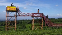 Setiap harinya, Agrowisata Bukit Kuneer dikunjungi sekitar 300 hingga 500 wisatawan. Pemandangan kebun teh yang memesona serta fasilitas pendukung yang memadai membuat tempat ini semakin populer di kalangan pencinta alam.