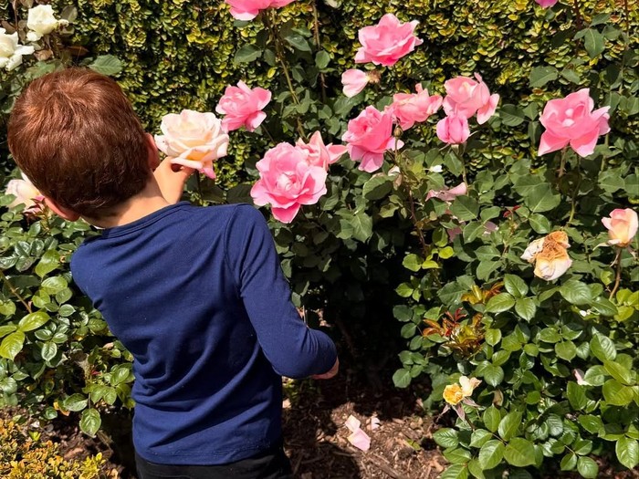 Anak-anak Meghan Markle dan Pangeran Harry