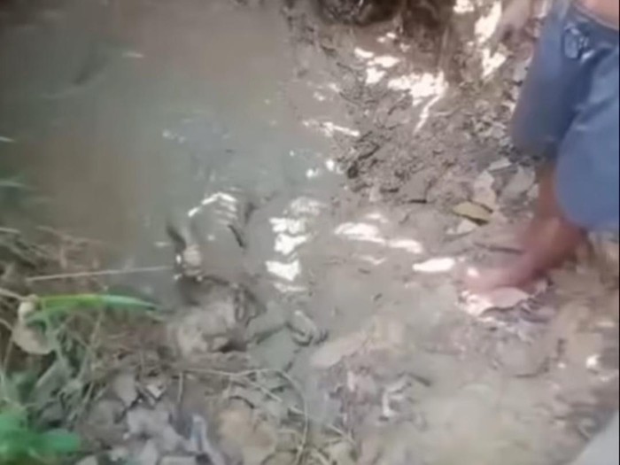 Anak disebut tega rendam ibu di kubangan lumpur, lokasi diduga di Nias