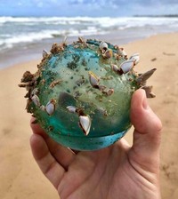 Benda Laut