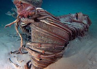 Benda Laut