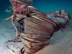 Foto Benda yang Ditemukan di Laut dan Pantai Bikin Melotot