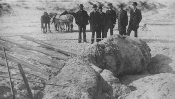 Bangkai hewan laut besar berjuluk Monster St. Augustine yang ditemukan di pantai tahun 1896. Foto: Boredpanda