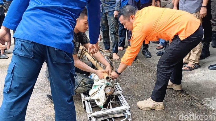 Buaya berukuran 4 meter dievakuasi Damkar Pangkep.