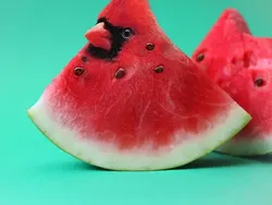 Orang-orang dengan Kemampuan Edit Foto Nyeleneh, Begini Hasilnya