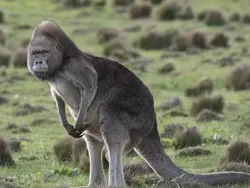 Orang-orang dengan Kemampuan Edit Foto Nyeleneh, Begini Hasilnya