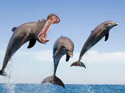 Orang-orang dengan Kemampuan Edit Foto Nyeleneh, Begini Hasilnya