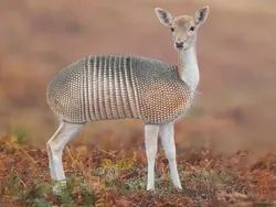 Orang-orang dengan Kemampuan Edit Foto Nyeleneh, Begini Hasilnya